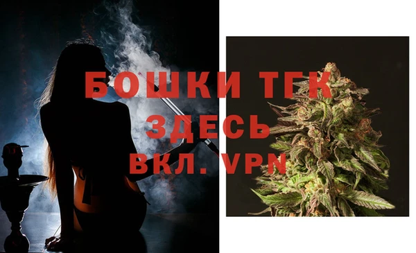 стаф Абаза