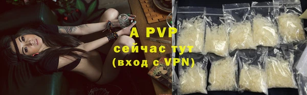 стаф Абаза