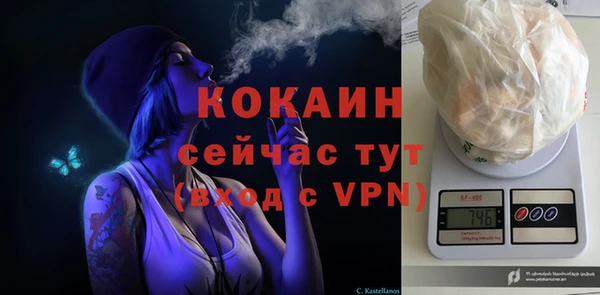 стаф Абаза