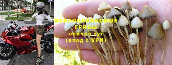 трава Абинск
