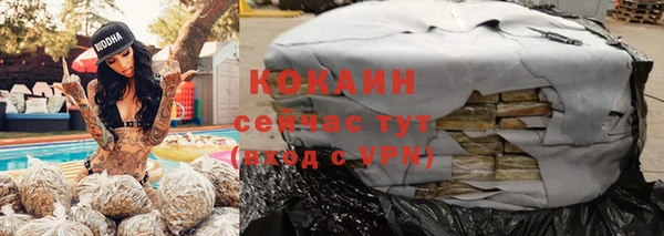 стаф Абаза