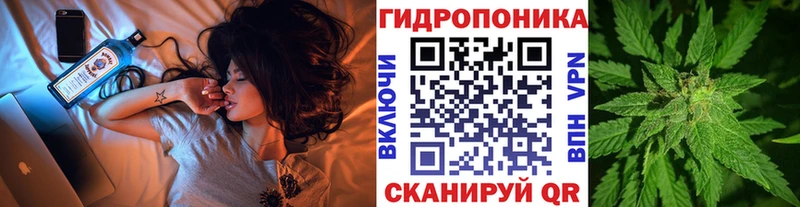кракен как зайти Кандалакша Шишки марихуана AK-47